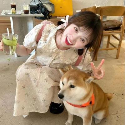 穷友记第四季